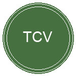 Thể Công Viettel